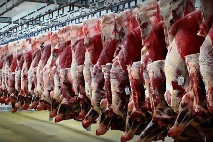 عرضه گوشت بیشتر می‌شود/ قیمت گوشت با دام زنده تناسب ندارد