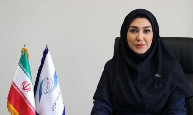  راه حل احقاق حق صاحبان سهام در برابر قیمت‌گذاری دستوری