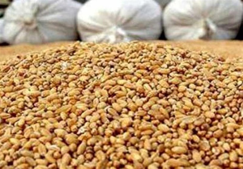 بحران نهاده دامی در قلب دامپروری سمنان