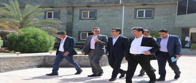 پیوستگی تولید بفجر از ۵ سال عبور کرد/ ورود فجر انرژی خلیج‌فارس به تولید انرژی‌های تجدیدپذیر
