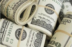 ارز ۴۲۰۰ تومانی در دی ماه هم اختصاص می یابد