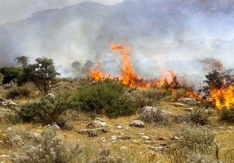 46 هزار ‌هکتار ‌اراضی ملی، مرتعی و جنگلی‌ آتش سوخت