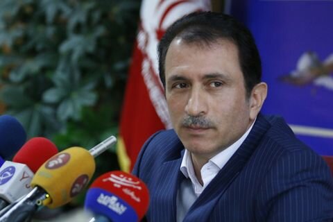 رئیس گمرک: تراز تجاری مثبت شد