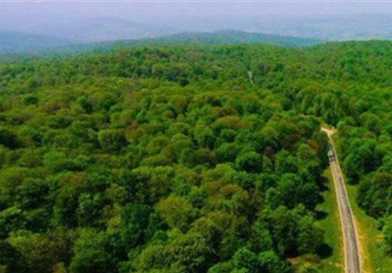 حلقه‌های تهدید در جنگل‌های شما حریق‌ها ادامه دارد