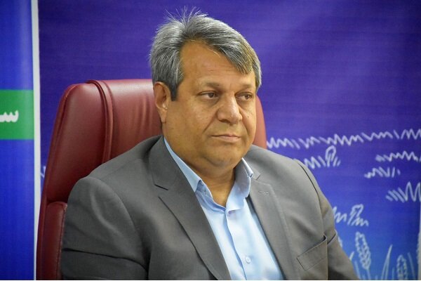 ارسال بیش از ۶۶۰ تن گوشت از سیستان و بلوچستان به ۱۵ استان کشور