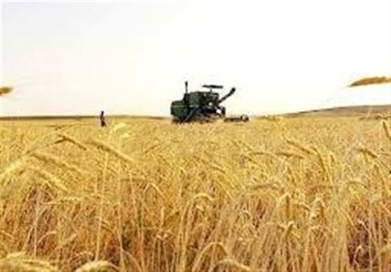 اجرای کامل قانون الزام با جدیت دنبال می‌شود
