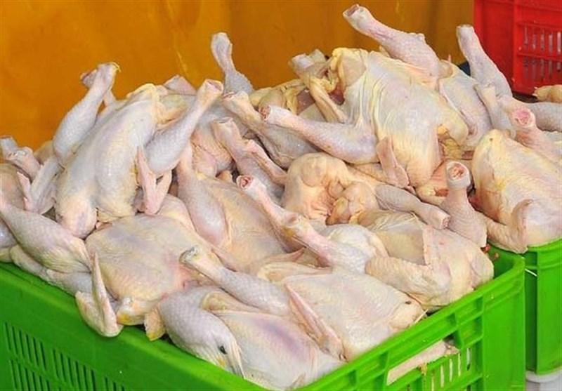 قیمت گوشت مرغ در بازار امروز/ برخورد جدی با گران‌فروشان 