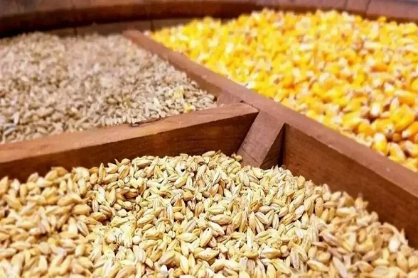 روزانه ۶۰ هزارتن نهاده دامی در سامانه بازارگاه توزیع می‌شود