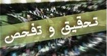 تحقیق و تفحص از شرکت مهم وزات نفت تصویب شد/ صادرات بنزین۵۰۰ تومانی !