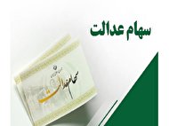 لجاجت با قانون در انتخابات سهام عدالت