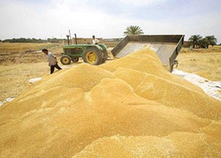 ورود سه کشتی حامل جو به بندر امام خمینی(ره)