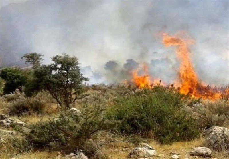 زبانه آتش در 4 نقطه از جنگل‌های هیرکانی