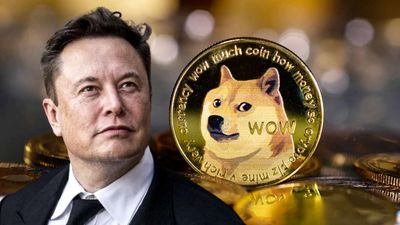 دوج کوین می تواند یک ارز باشد؟