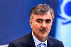 فرزین دستیار ویژه اقتصادی پزشکیان شد