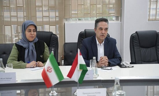 تاکید بر تسهیل و توسعه همکاری‌های تجاری ایران و تاجیکستان