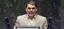 دو راهکار خنثی‌سازی شوک تورمی حذف ارز ۴۲۰۰ تومانی از زبان نماینده مجلس
