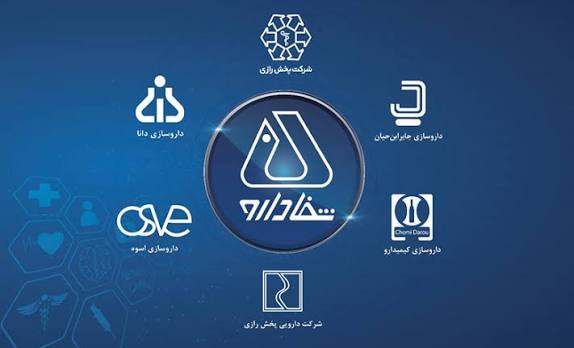 ثبات کامل پرتفوی «شفا» در خرداد؛ درآمد محدود از سود سهام