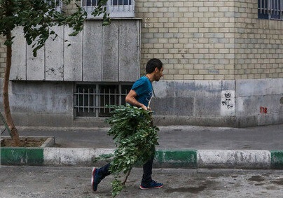وزش باد شدید و احتمال طوفان گرد و خاک در تهران/ بارش باران و رعد و برق