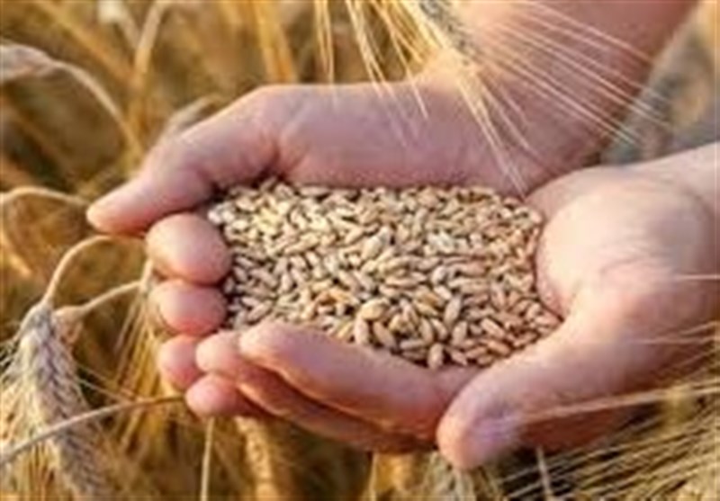 ستاد اقتصادی دولت ساماندهی زنجیره گندم، آرد ونان را بررسی می‌کند 