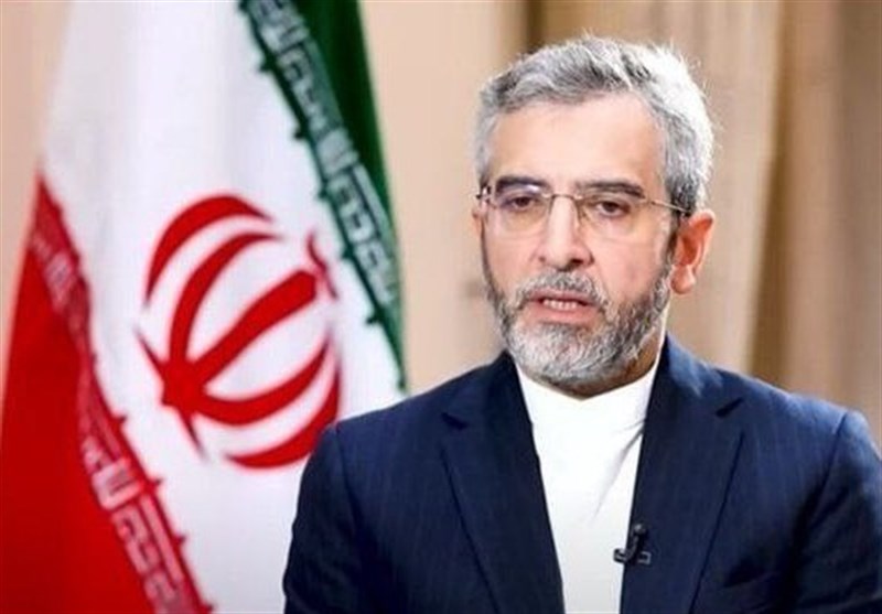  باقری: حضور ایران در بریکس میراث گرانقدر شهید رئیسی است 