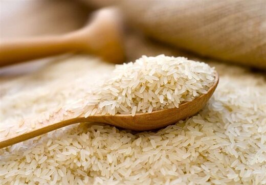 جزئیات قیمت و واردات برنج