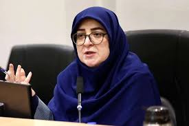 مهاجرانی: برنامه‌ای برای افزایش قیمت بنزین نداریم/ از دولت و مردم عراق قدردانی می‌کنیم
