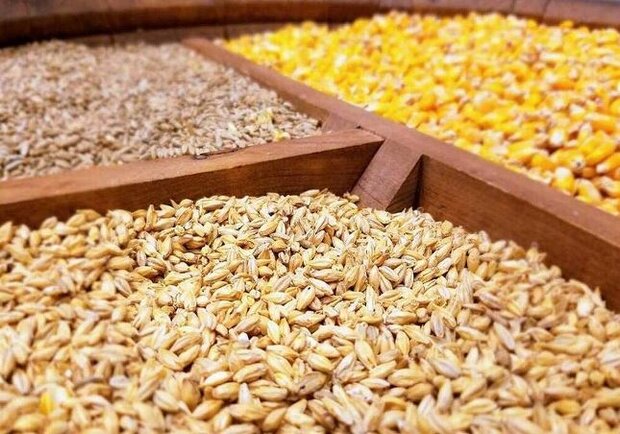 وضع نامطلوب تامین نهاده‌های دامی