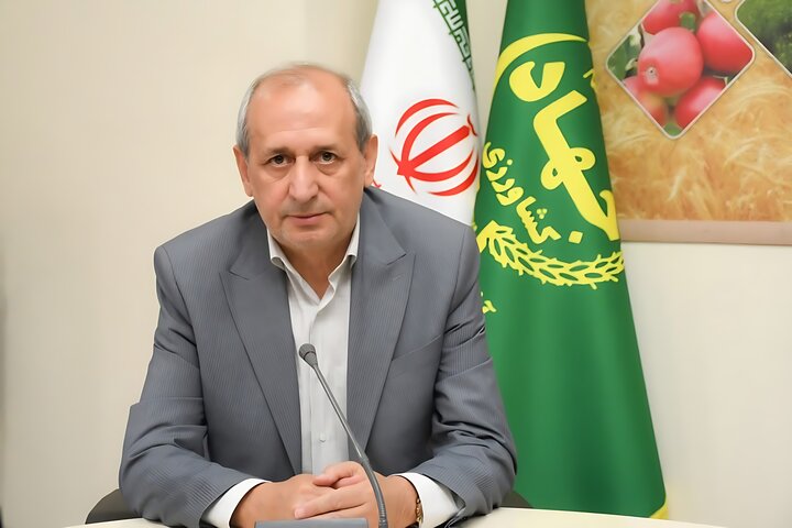 شفیعی: آذربایجان‌شرقی رتبه اول فرآوری و صادرات خرما در کشور را دارد