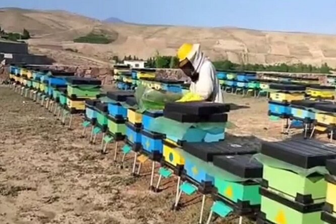 «شاهرود» قُطب شیرین استان سمنان