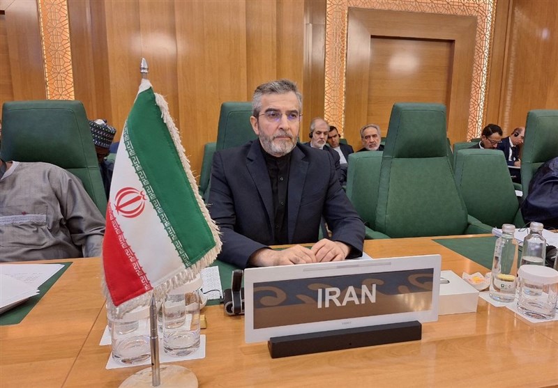  گفت‌وگوی باقری با معاون دفتر سیاسی حماس 