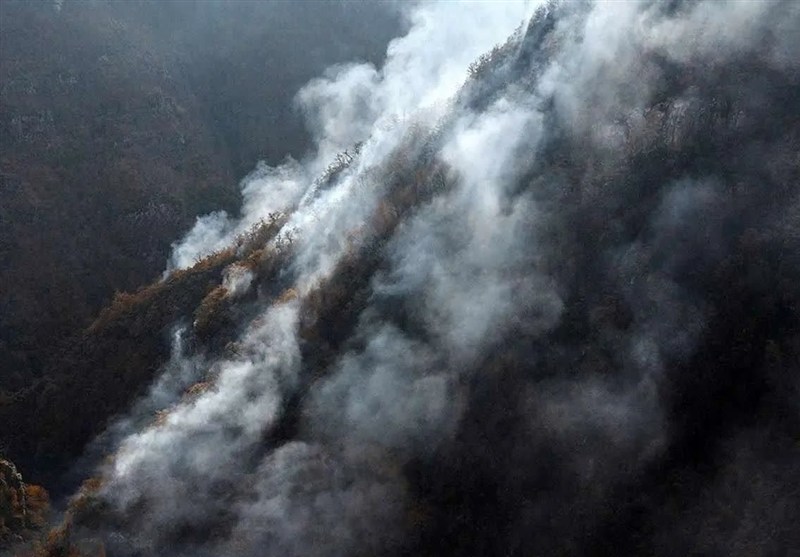 فاجعه در جنگل‌های هیرکانی/ آتش همچنان زبانه می‌کشد؟