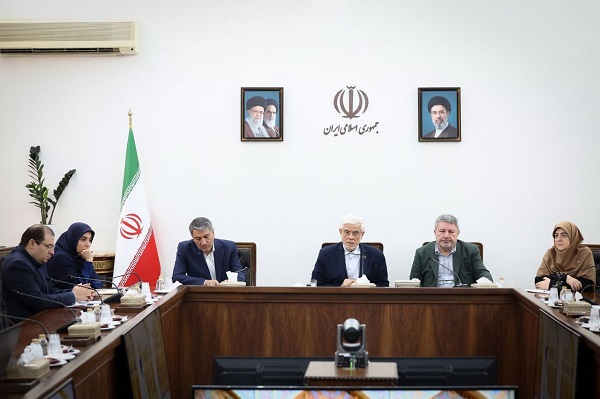 عارف: در بیان عملکرد دولت بی‌انصافی می‌شود