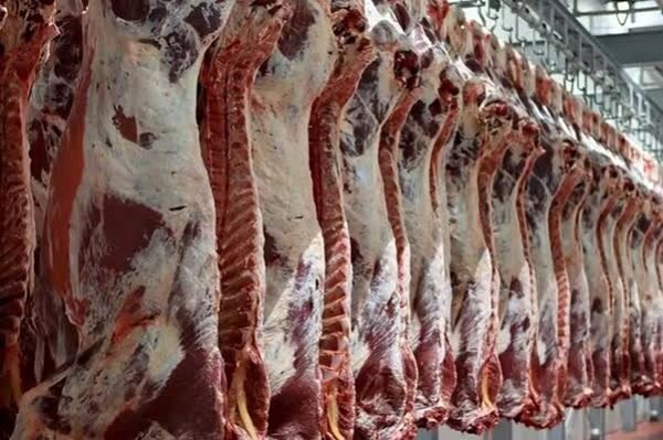 پاییز از نظر تامین گوشت شرایط خوبی داریم