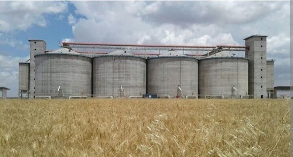 خرید تضمینی گندم از مرز ۸.۲ میلیون تن گذشت
