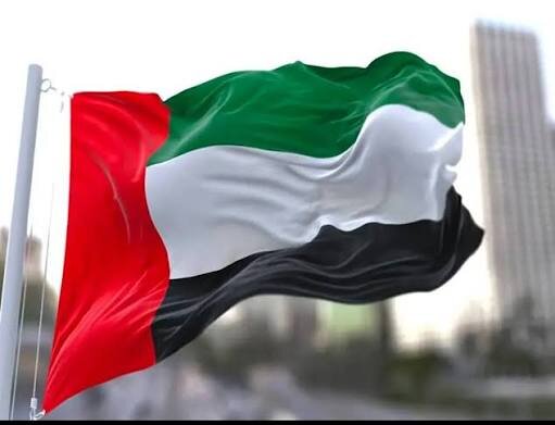 دادستان کل امارات: حادثه فلای دبی تروریستی بود