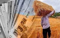 واریز ۷۳.۴ همت دیگر از مطالبات گندم‌کاران کشور/ مجموع پرداختی به ۳۴۸.۴ همت رسید