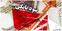 توقف در سقف؛ چرا بانک مرکزی نرخ سود را در 24 درصد قفل کرد؟