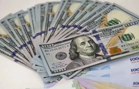 قیمت دلار امروز 14 مرداد 1405 / دلار 2 هزار تومان ارزان شد