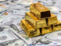 محدودیت‌های جدید برای ۴۵ سوداگر ارز و طلا؛ لیست مظنونین به ۲۱۴ نفر رسید
