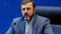 غریب‌آبادی: آمریکا می‌داند چه الزاماتی را باید برآورده کند
