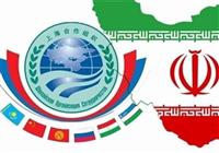 ارزش تجارت ایران با اعضای شانگهای چقدر است؟