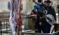 آغاز عرضه و ذبح بهداشتی عید قربان از ساعت 6 صبح فردا