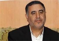 محبی‌نیا: نتیجه توجه دولت به تأمین مایحتاج عمومی، پایان نوسانات قیمتی است