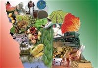  ذخایر کالاهای اساسی به وضعیت مازاد رسید 