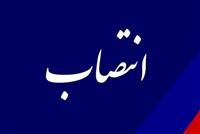 سرپرست بیمه مرکزی و سرپرست بانک ملی ایران منصوب شدند
