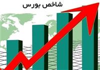  علت نزول روزهای اخیر شاخص: برنامه های مبهم دولت و رفتار هیجانی سهامداران