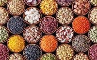 واردات حبوبات و گندم از اتحادیه اوراسیا با تعرفه صفر
