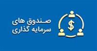  صندوق‌های سرمایه گذاری مجاز به فعالیت در بازار اختیار معاملات بورس کالا شدند