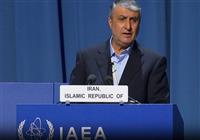  اسلامی: برجام نباید به‌هزینه تنها یک عضو اجرا شود 