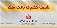  مدیر عامل بانک سینا در همایش سراسری روسای حوزه حراست مناطق: 